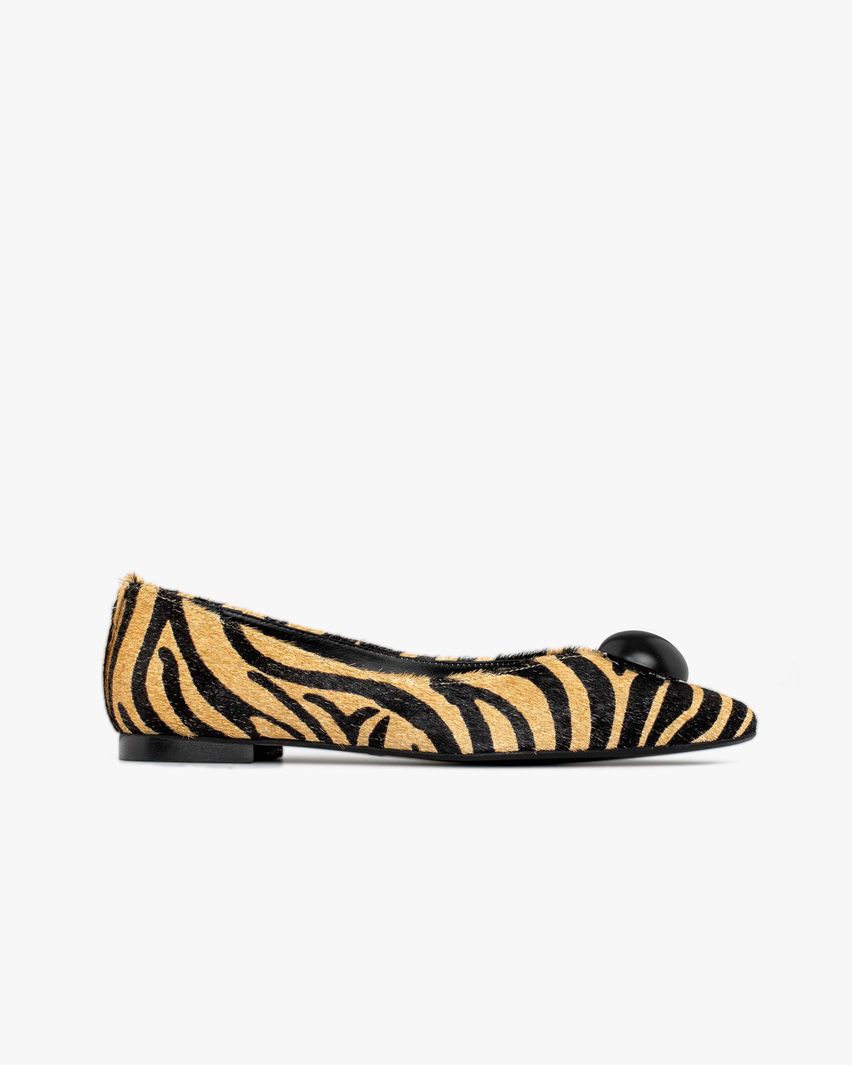 Matilda zebra
