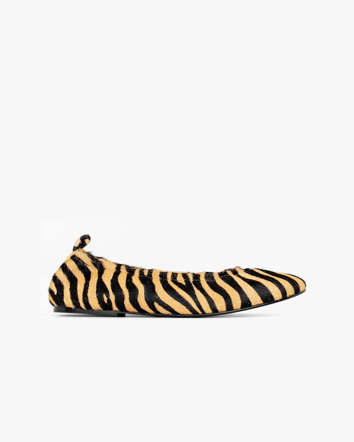 Ichi zebra