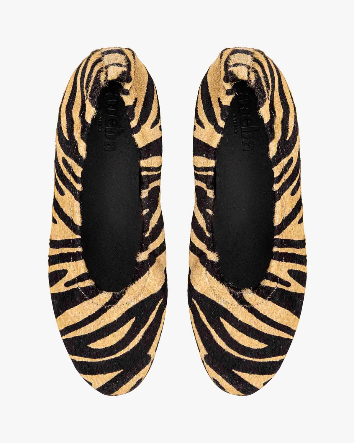Ichi zebra