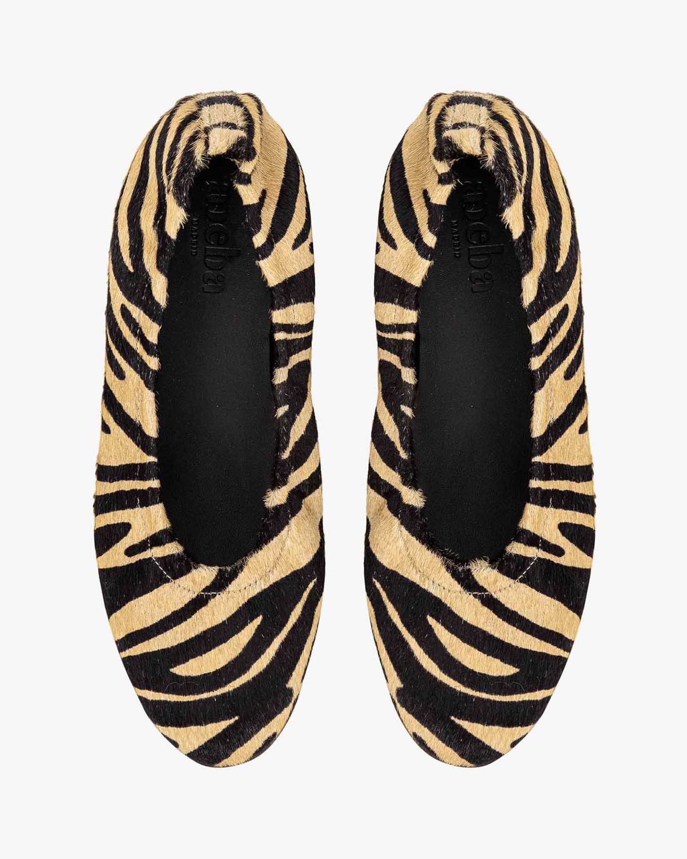 Ichi zebra
