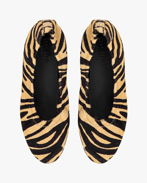 Ichi zebra