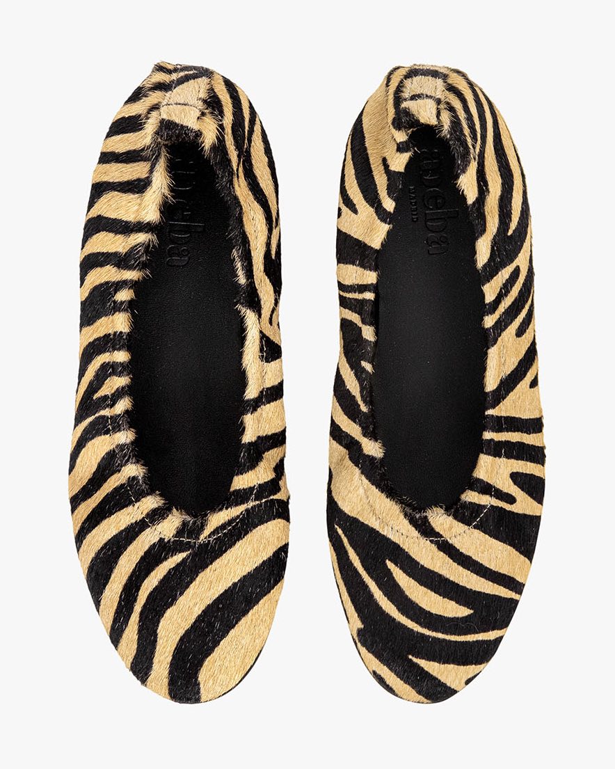 Ichi zebra